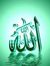 Hafsa L...