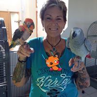 S Heather Phillips