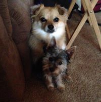 Sharon Starkebaum-Lockwood