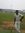 Vignesh...