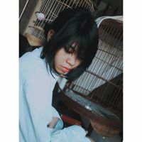 Cát Khánh Nguyễn