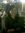 Annisa ...