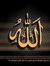Abd ElS...