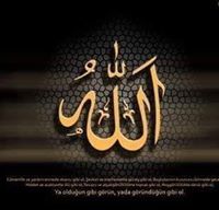 Abd ElShafy