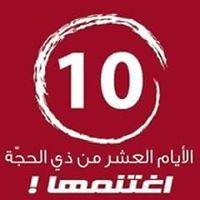 محمد ال مكاوى