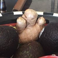 CATHERINE ABRAMOWITZ