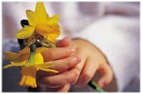 سعود العسيري