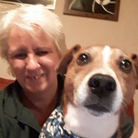 Tina Holmes