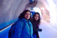 Sanjukta Chattopadhyay