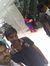 Dinesh ...