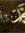 Mohamed...