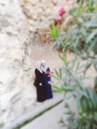 Tasneem Shabaneh