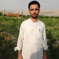 Shahpoor