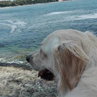 Христина Музева