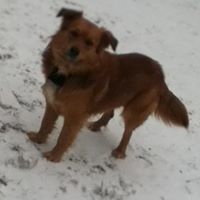 Jayce Stephen Minich