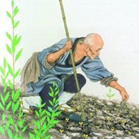 Trí Huỳnh