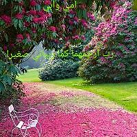 لمياء  عبد السلام