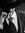 Martin Elias | 13 comments