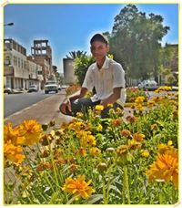 احمد بامختار