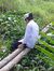 Hong Thi