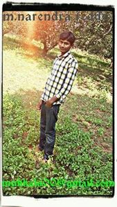 Narendra Reddy
