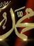 Ayman S...