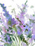Purple....