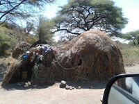 Mbena Savinitu Comrade