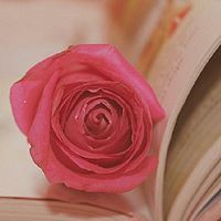 عقيلة الطالبيين