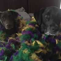 Cheryl Thomas Newman