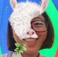 Minh Anh