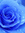 Bluerose | 15 comments