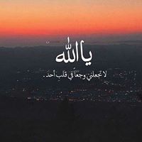 Abdelrahman Aboushosha