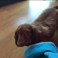 Christopher G Kluver