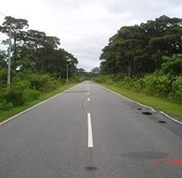 Shahin Rahman