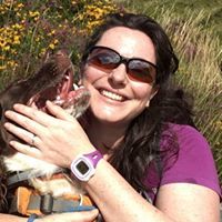 Sally Cordon-Painter