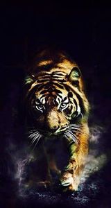 يزيد الجربوع