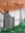 Sumit G...