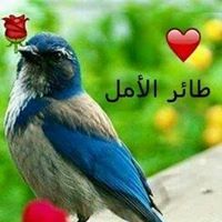 خالد الريامي