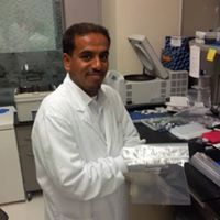 Jaafar Omar