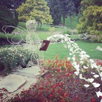 Alidangelocaffè Extrò