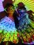 nupur m...