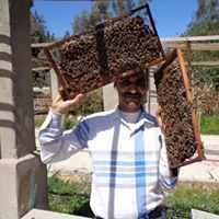 اشرف عبد الستار