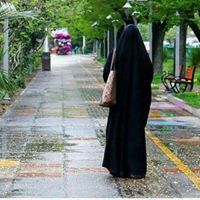 الوردة البيضاء