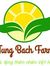 Tùng Bách