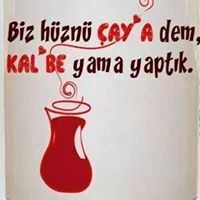 Feyza Soykan