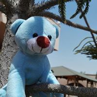 إسراء الدين