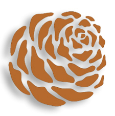 Koukounari  (Κουκουνάρι)