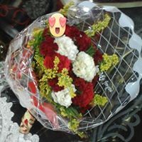 يسرا الحوفى