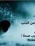 Saif PC